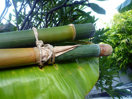 Bamboo stalks tied with jute twine