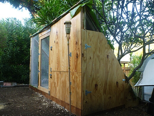 Side of the coop