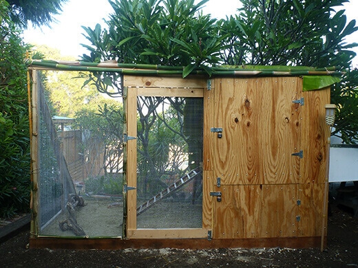 Front of the coop