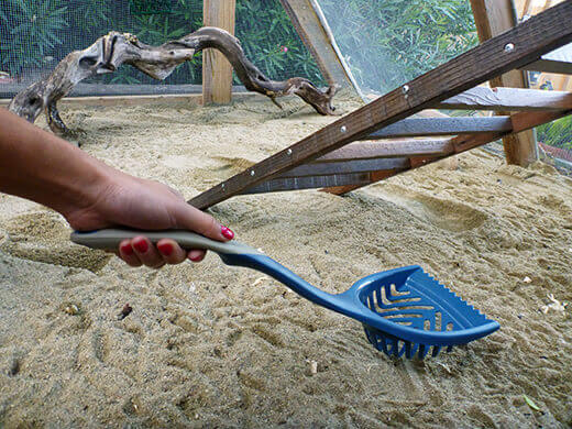 Oversized litter scoop