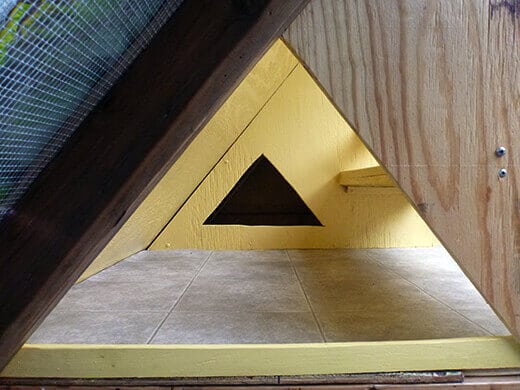 Open pop door into the coop