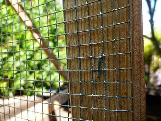 Attaching hardware cloth to the framing