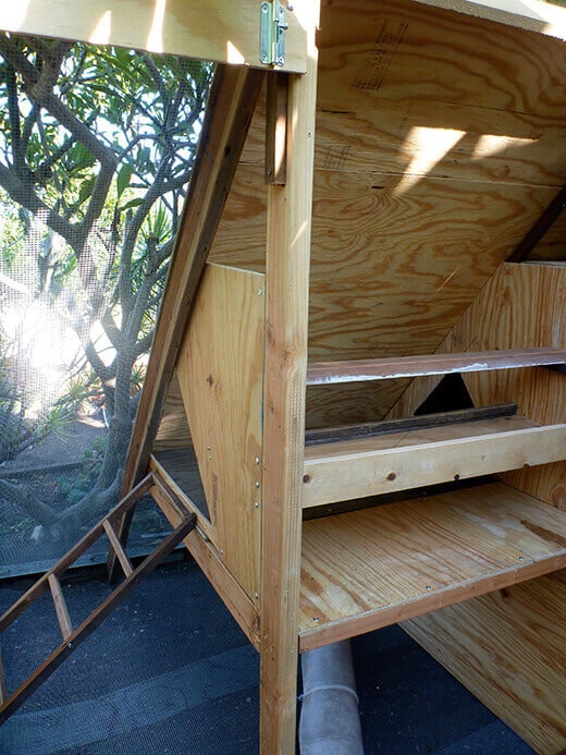 An open pop door to the coop