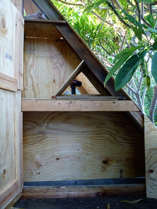 Egg box and storage area
