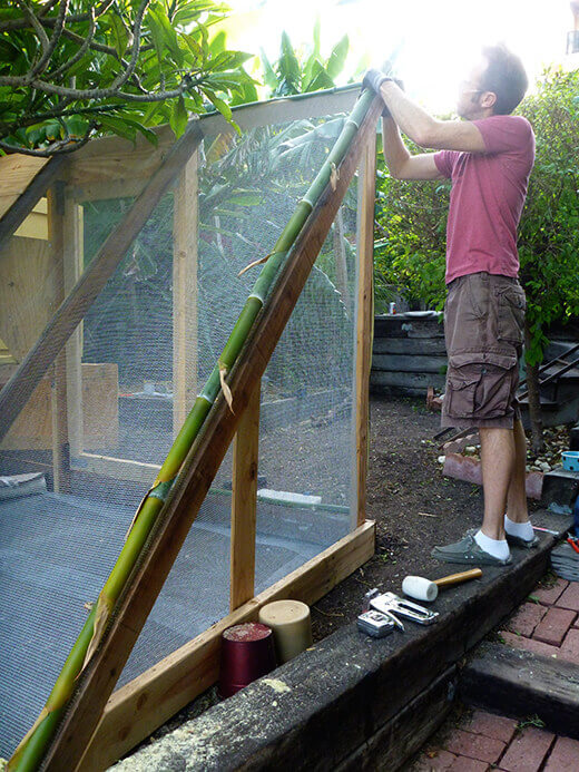 Adorning the coop with sustainable tiki flair