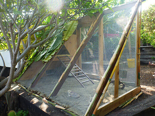 The completed tiki coop