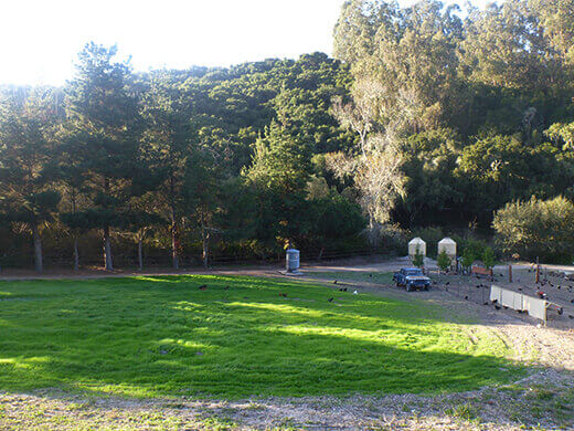 Dare 2 Dream Farms