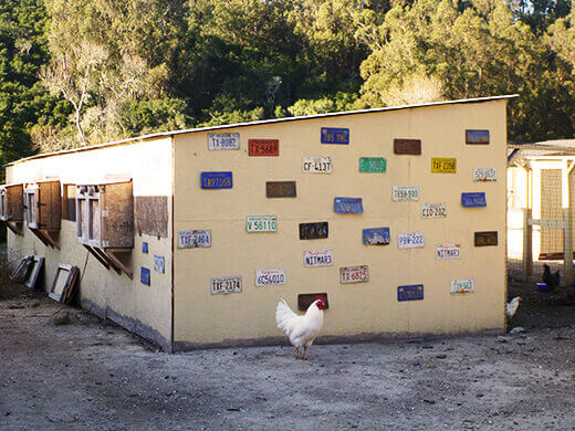 Chicken coop