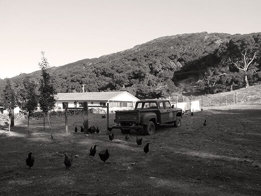 Dare 2 Dream Farms