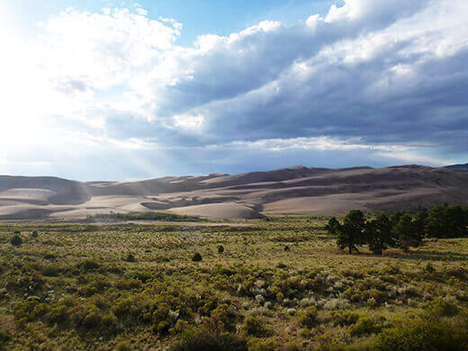 Post-monsoon glow on the dunes