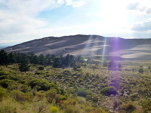 Post-monsoon glow on the dunes