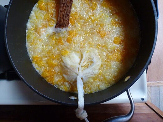 Add fruit segments, juices, grated ginger, sugar, and cheesecloth bundle to citrus water