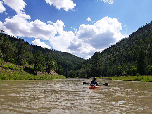 Paddling through the evergreen-filled Chama Canyon