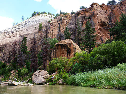 Sandstone formations in the canyon