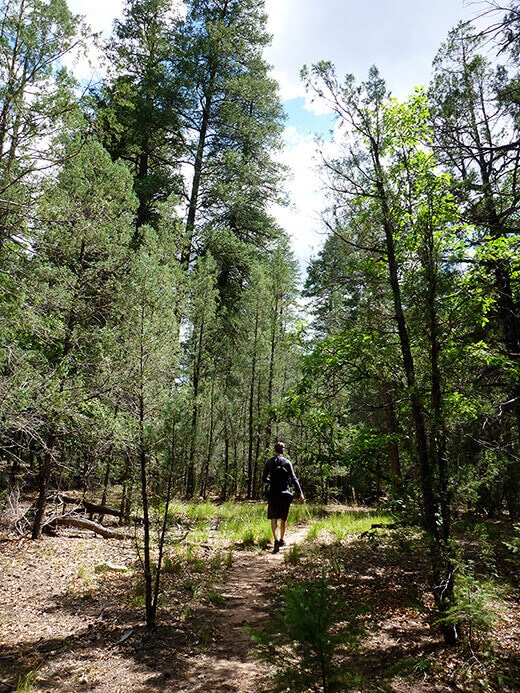 Looking for our secret campsite
