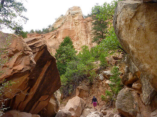 Slot canyon in the Rio Chama Wilderness