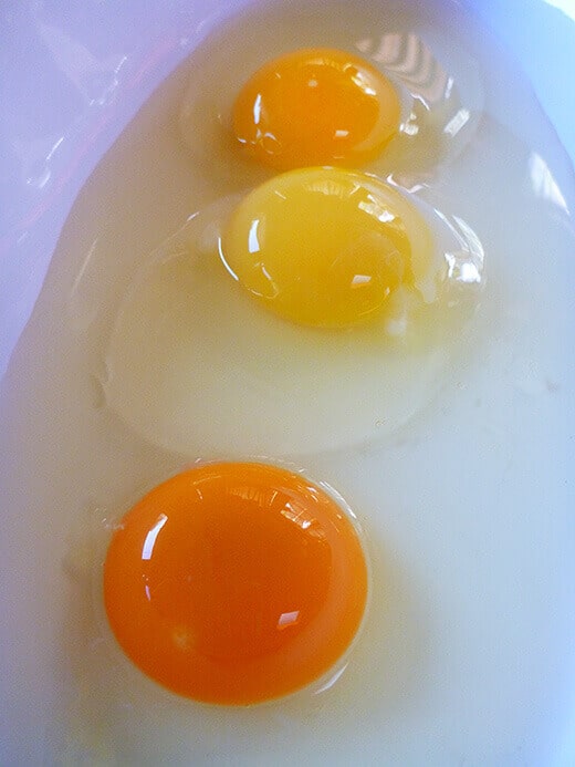 Homegrown versus store-bought eggs