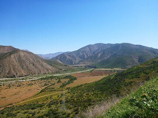 Wine country