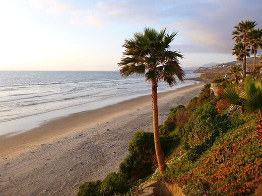 The Gold Coast of Baja