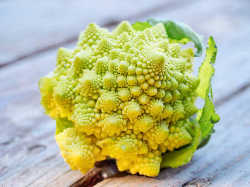 A head of Romanesco broccoli