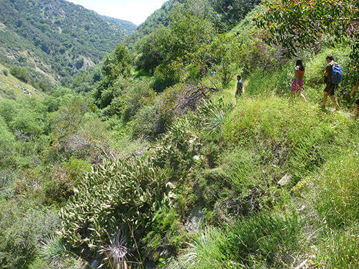 Fish Canyon trail in spring