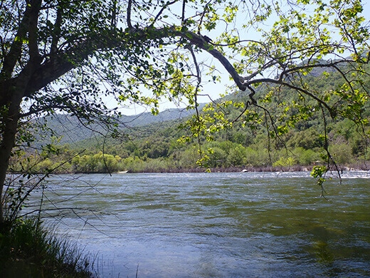 Kings River
