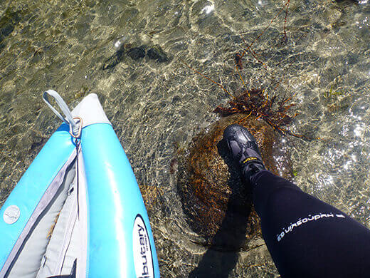 The pure snowmelt was clear and cold