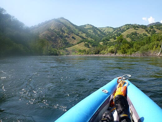 Enjoying the view in an eddy