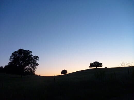Sunset in the San Joaquin Valley
