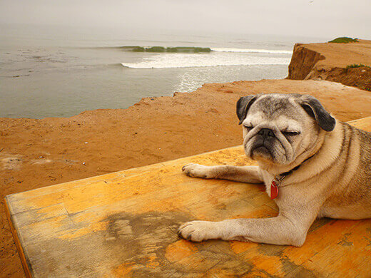 Life is simple in Baja