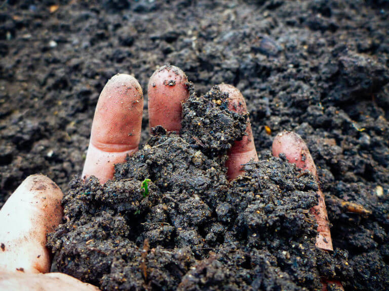 Getting stoned on soil