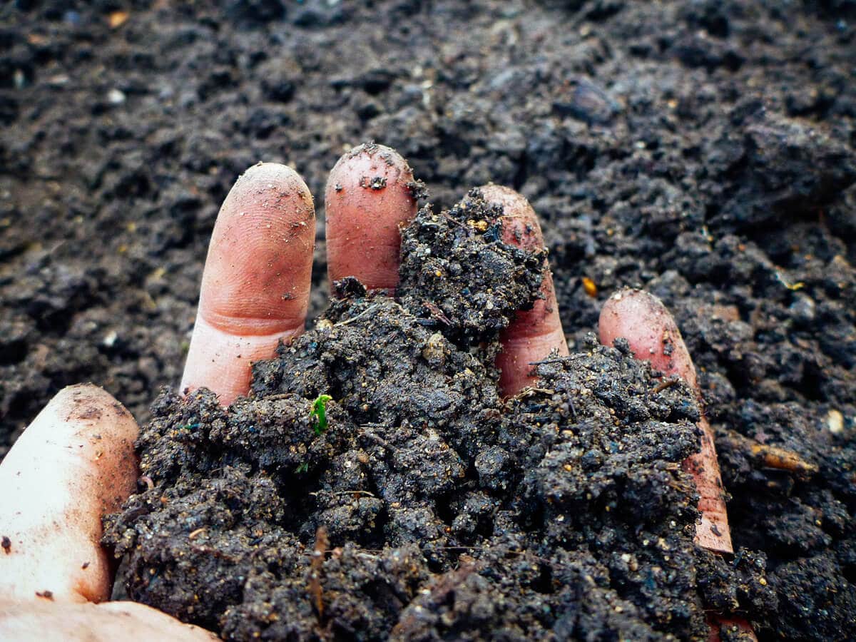 Getting stoned on soil