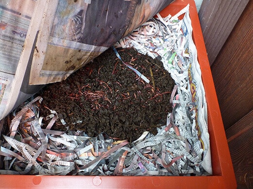 Vermicomposting system