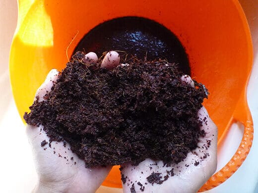 Soak the brick of coir in water to expand