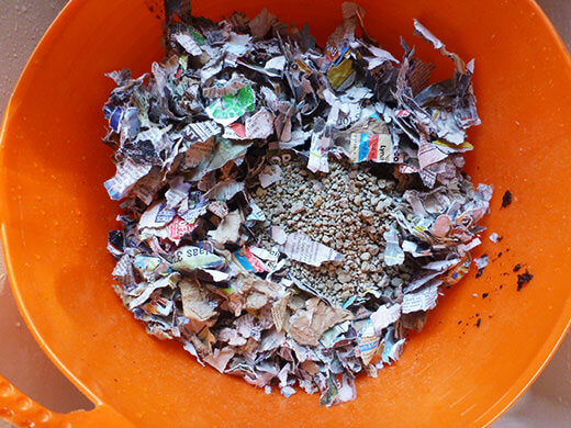 Combine finished compost, coir, newspaper, and pumice