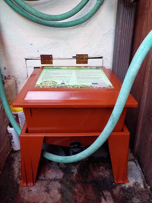 Place worm bin in a protected area outside