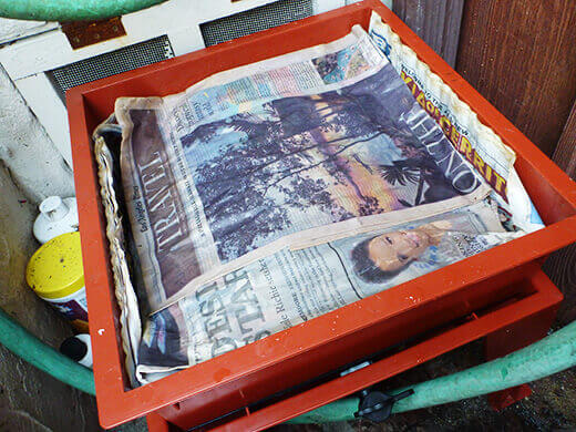 Re-moisten top newspaper as needed