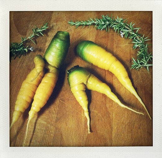 My carrots wear the pants in the garden