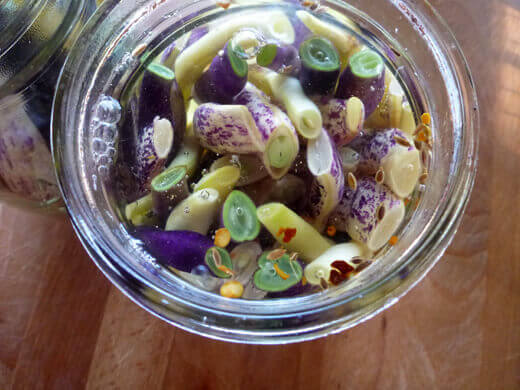 Cover beans completely with brine
