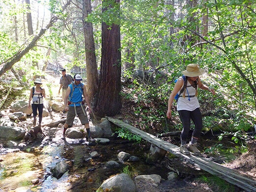 Hiking in the John Muir Wilderness