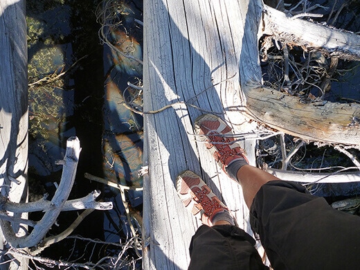 Hiking in the Sierra