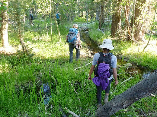 Hiking to Blayney Hot Spring