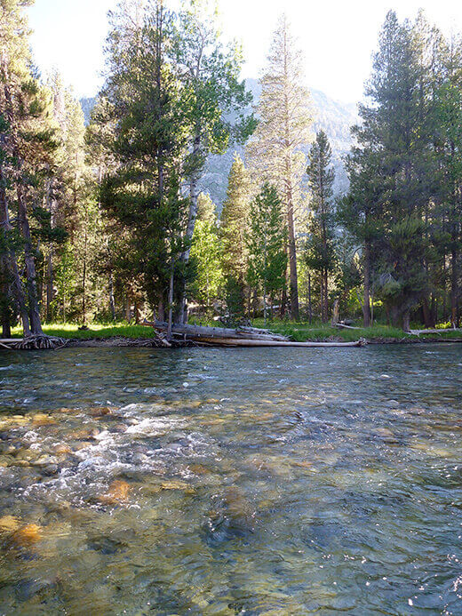 San Joaquin River, with our trail on the other side