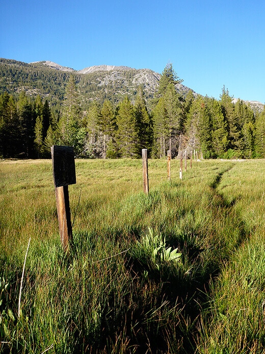 Trail to Blayney Hot Spring
