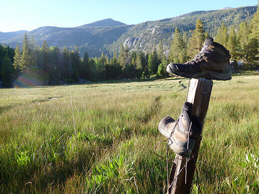 Solitude in Blayney Meadow