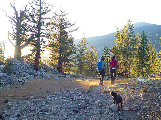 Starting the hike back to basecamp