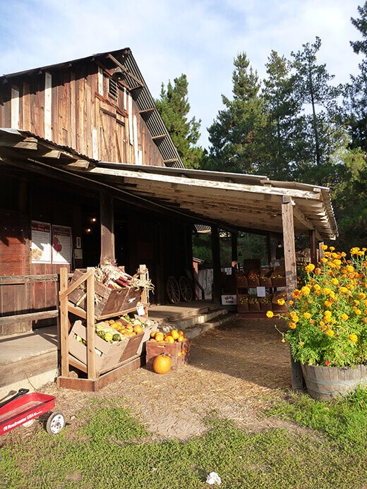 General store at Riley's Farm