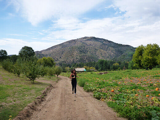 Wandering around Riley's Farm