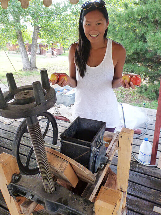 Wood and cast iron cider press