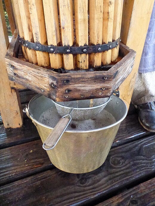 Freshly pressed apple cider